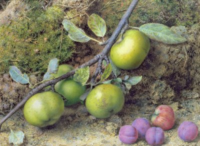 Manzanas y ciruelas en un banco musgoso de John Sherrin